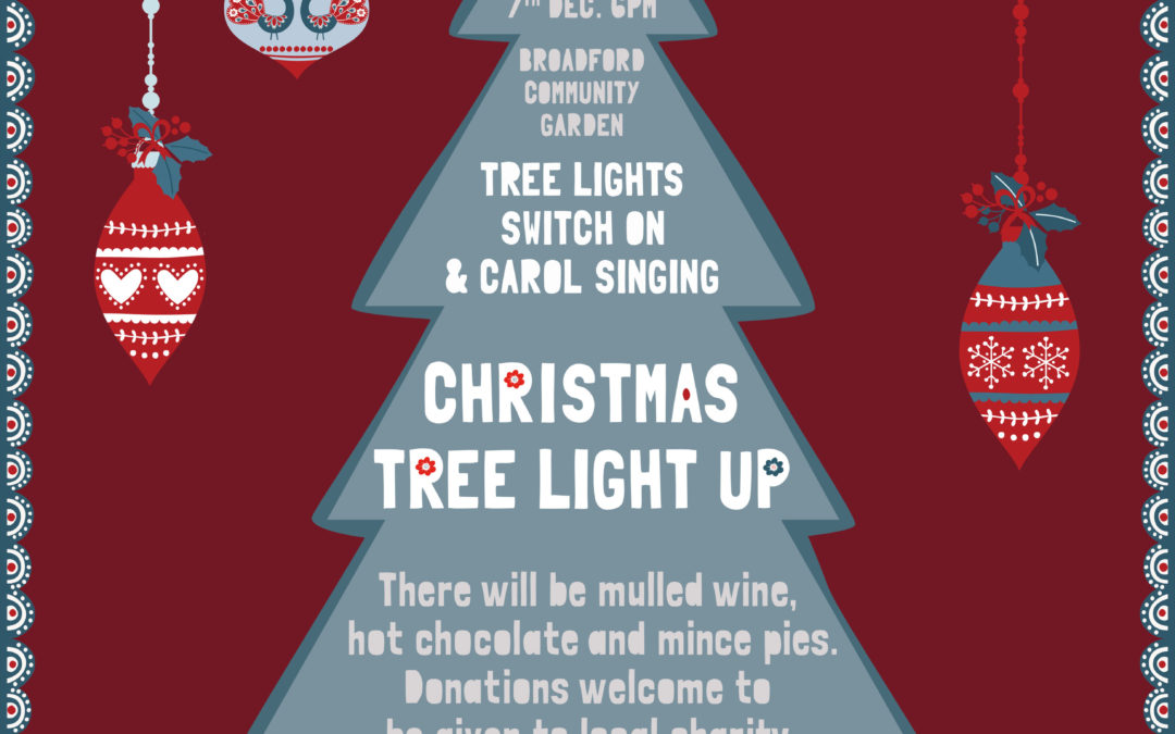 Christmas Tree Light-up