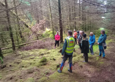 Tour of plantation forestry