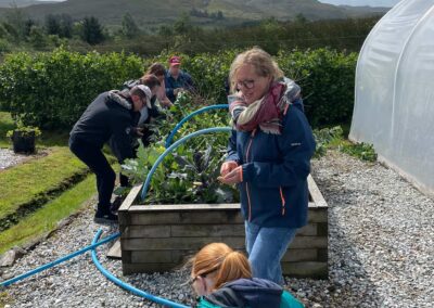 People growing vegetables in a raised bed
