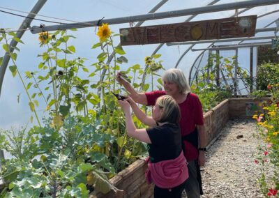 Two people in a polytunnel