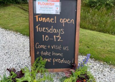 A chalkboard reading Tunnel open Tuesdays 10 - 12 come and visit us and take home some produce