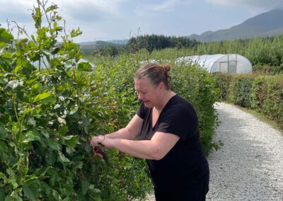 A woman tending a hedge with polytunnel behind