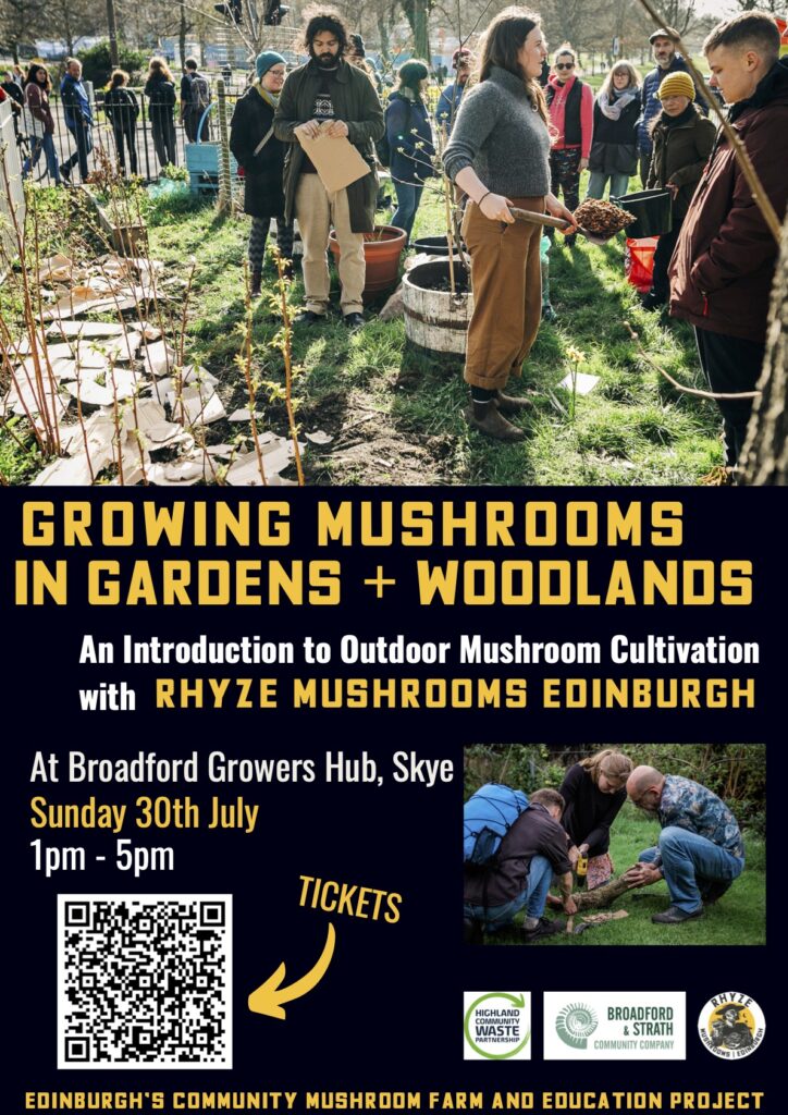 Mushroom workshop poster