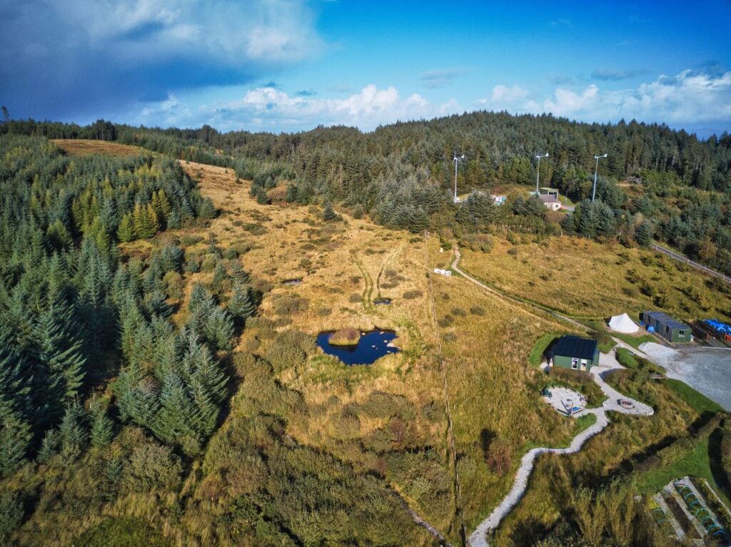 Aerial view of woodland