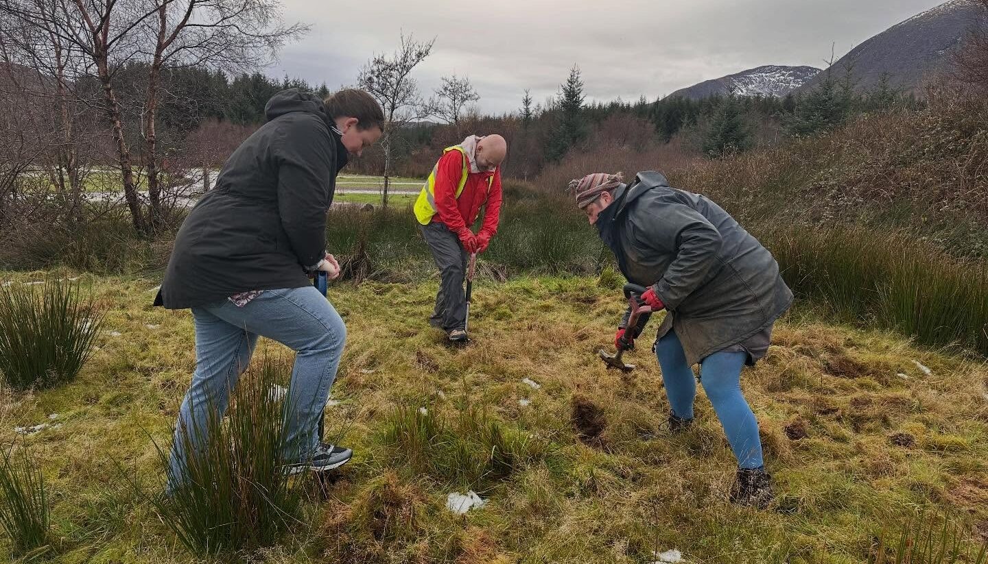 3 people planting trees