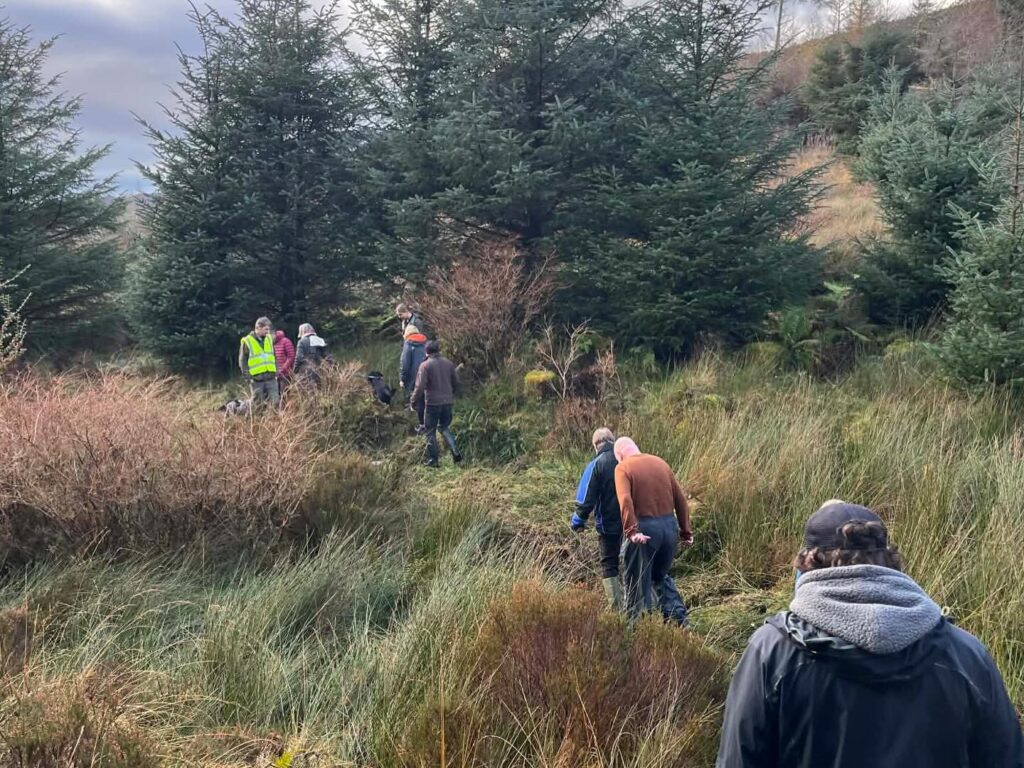 people walking through woodland